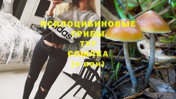 MDMA Баксан